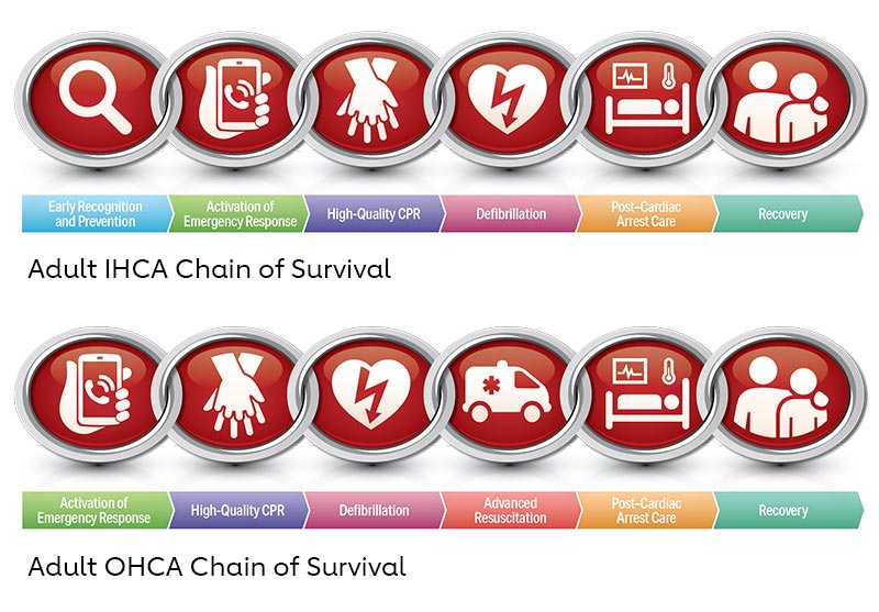 Figure 1. 2020 American Heart Association Chains of Survival for IHCA and OHCA 200513 illustration
