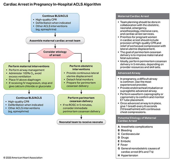 Figure 15. Cardiac Arrest in Pregnancy In-Hospital ACLS Algorithm.
