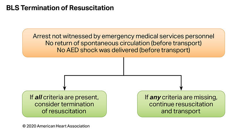 BLS Termination of Resuscitation