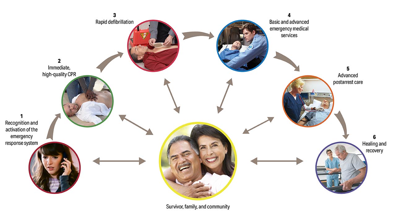 Figure 11. Centralized systems of care in cardiac arrest survivorship.