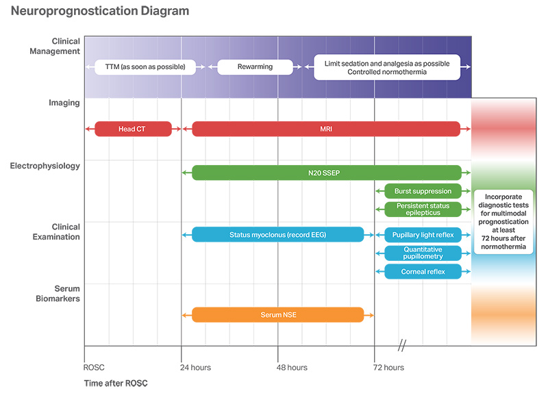 Figure 10. Recommended approach to multimodal neuroprognostication.