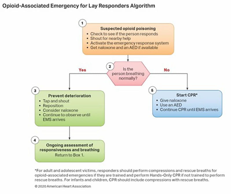 Opioid-Associated Emergency for Lay Responders Algorithm