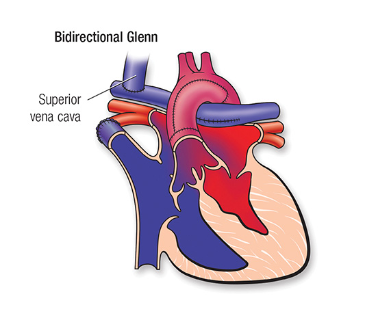 Part 4: Pediatric Basic And Advanced Life Support | American Heart ...