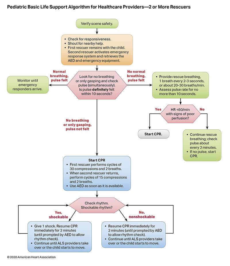 Pediatric Basic Life Support Algorithm for Healthcare Providers - 2 or more rescuers