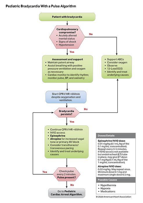 Algorithms | American Heart Association CPR & First Aid