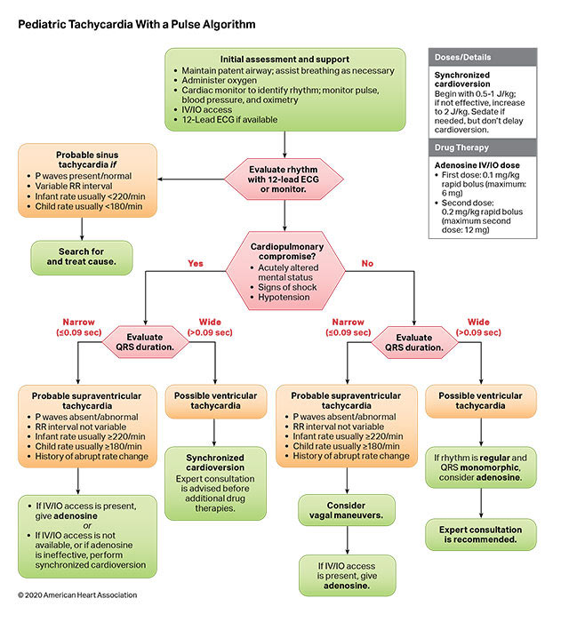 Algorithms | American Heart Association CPR & First Aid