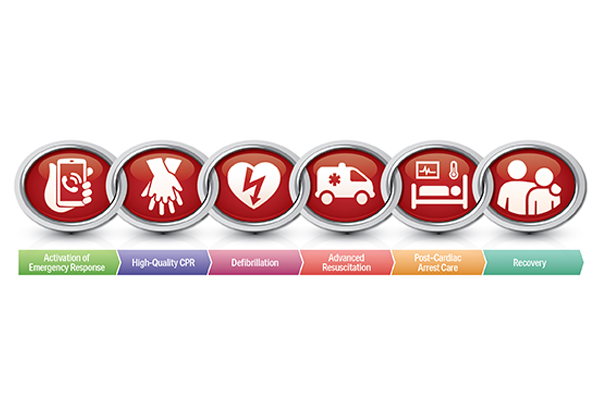 4 Key Steps of First Aid for Emergencies (2023 Guide)