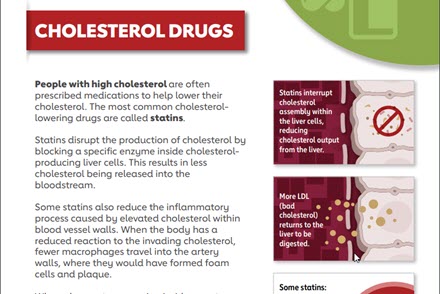 Cholesterol drugs fact sheet