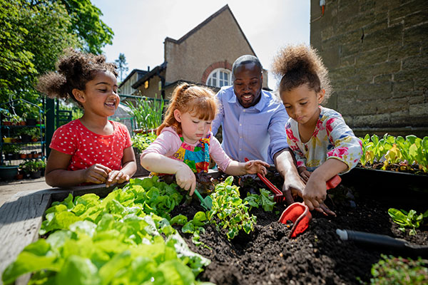 A teacher and small children planting in a community garden