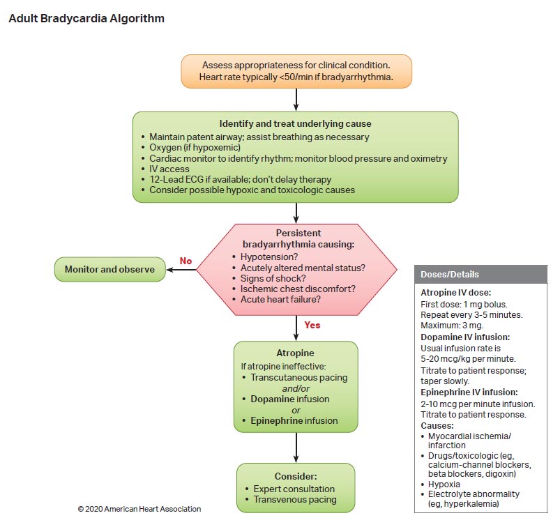 Algorithms | American Heart Association CPR & First Aid