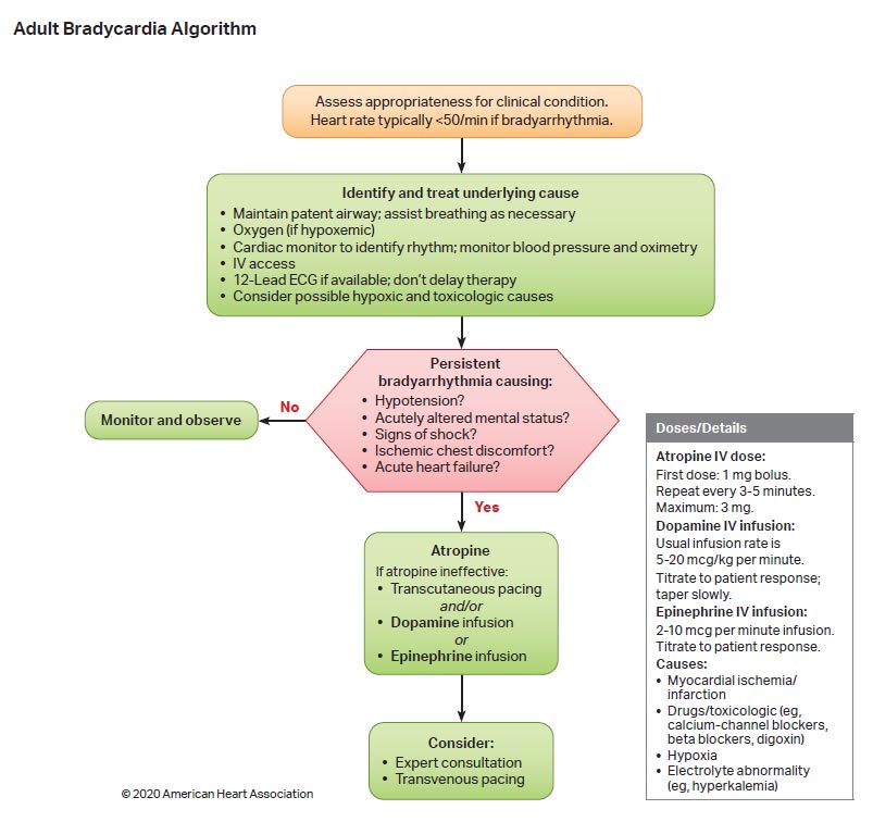 2020 ACLS Guidelines
