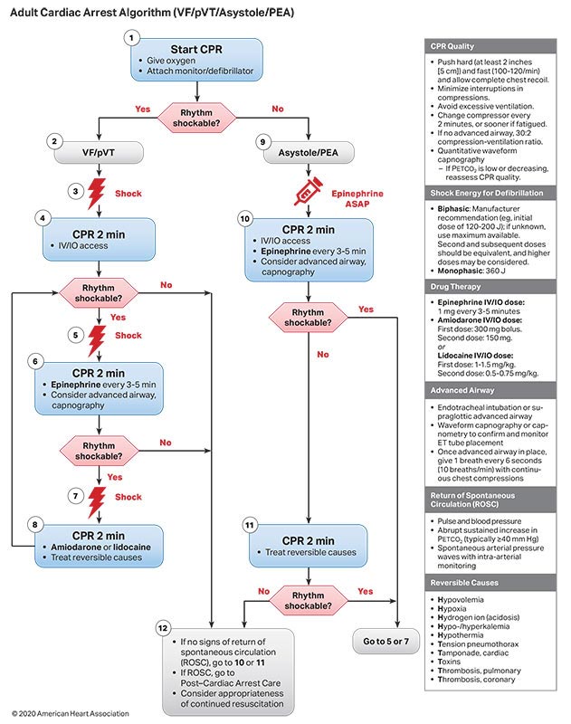 Part 3: Adult Basic And Advanced Life Support | American Heart ...