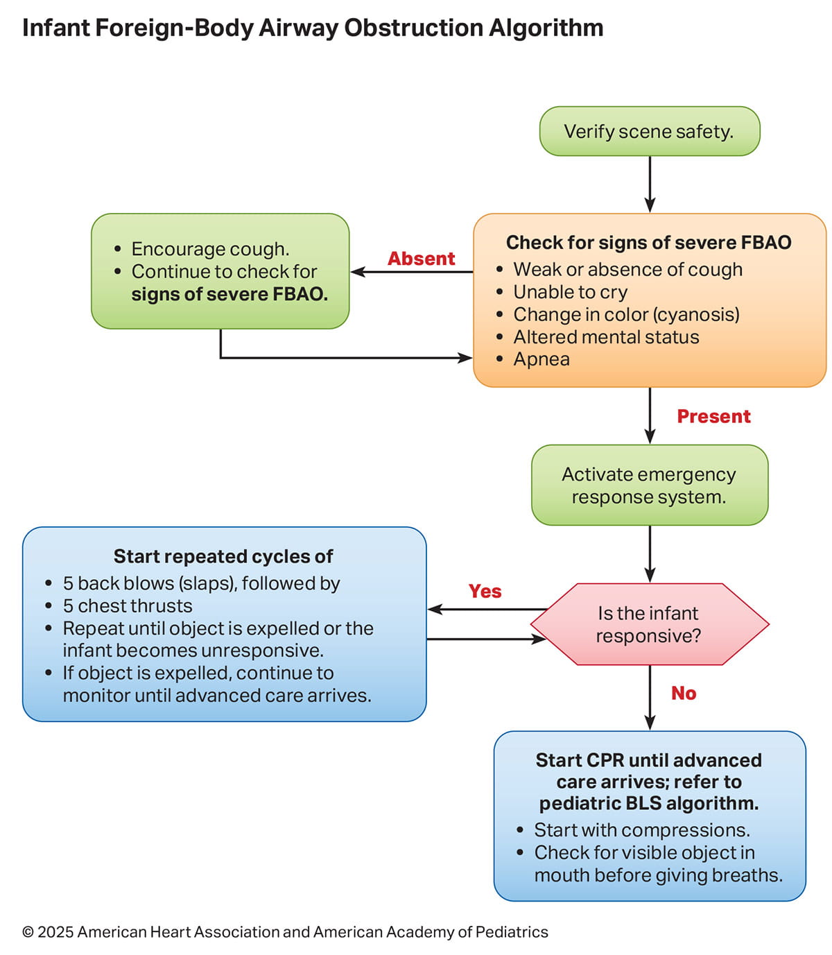 Figure 6. Infant FBAO