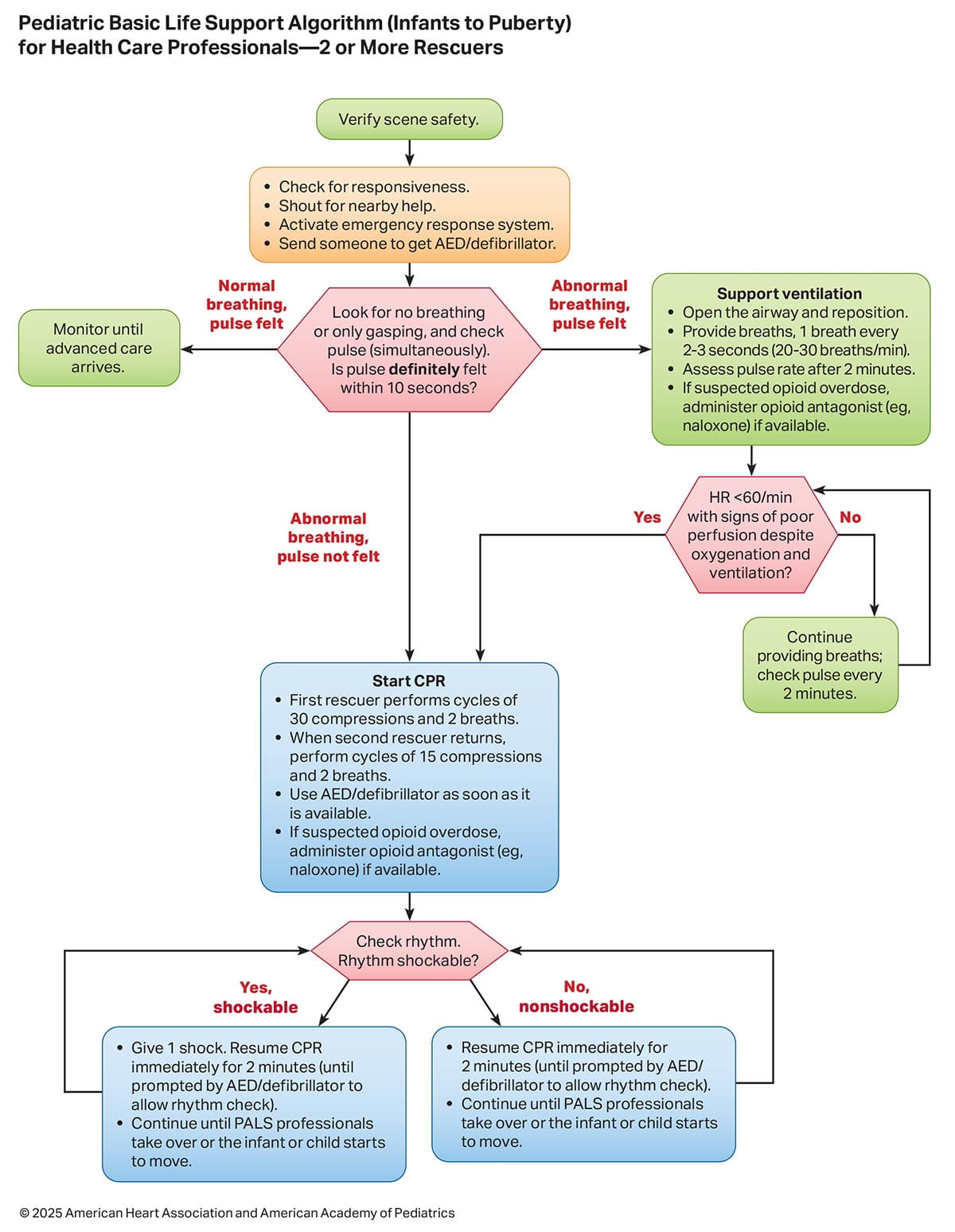 Figure 10 - Pediatric Basic Life Support Algorithm (1 year of age to puberty) for Health Care Professionals—2 or More Rescuers