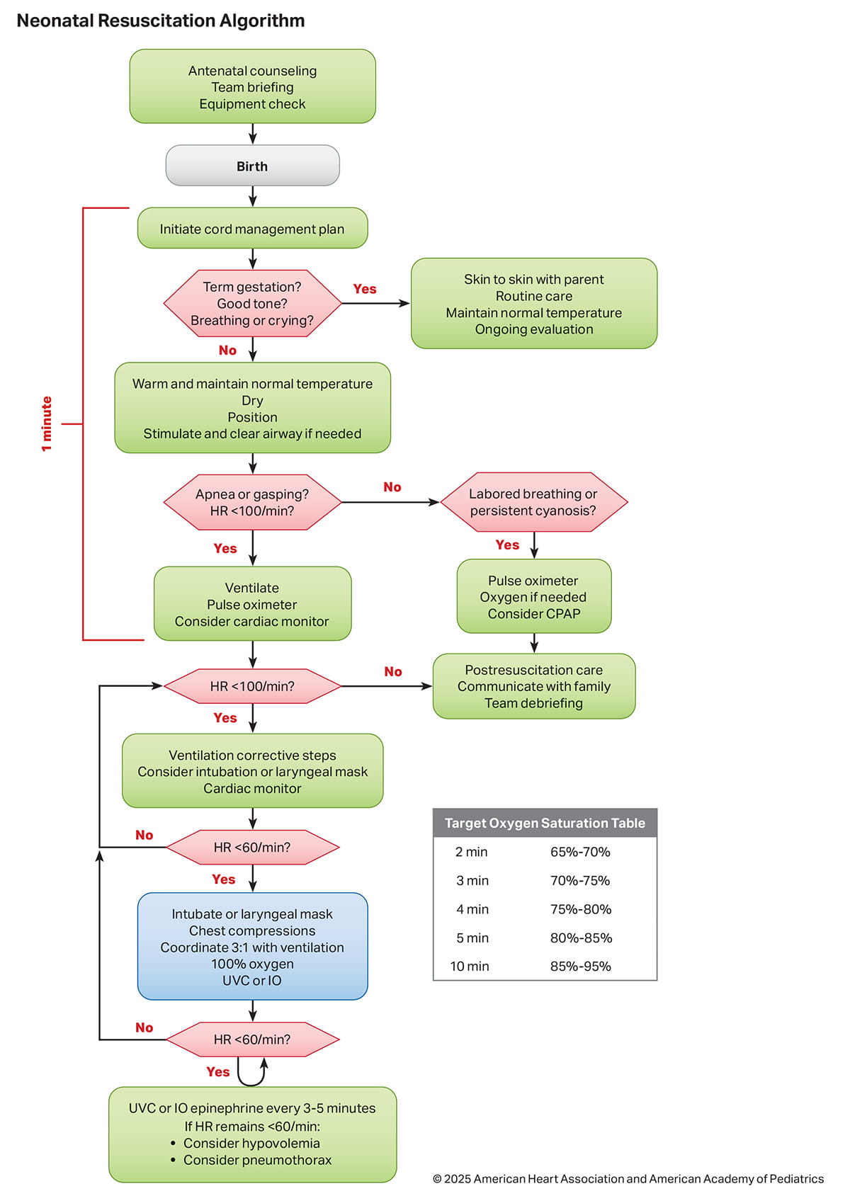 Figure 2 – Neonatal Resuscitation Algorithm