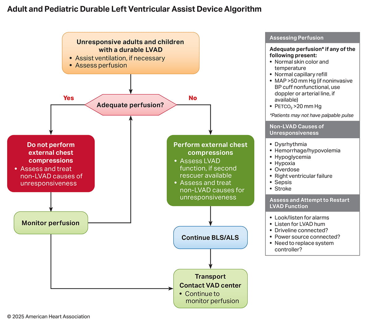Figure 4 – Adult and Pediatric Durable LVAD