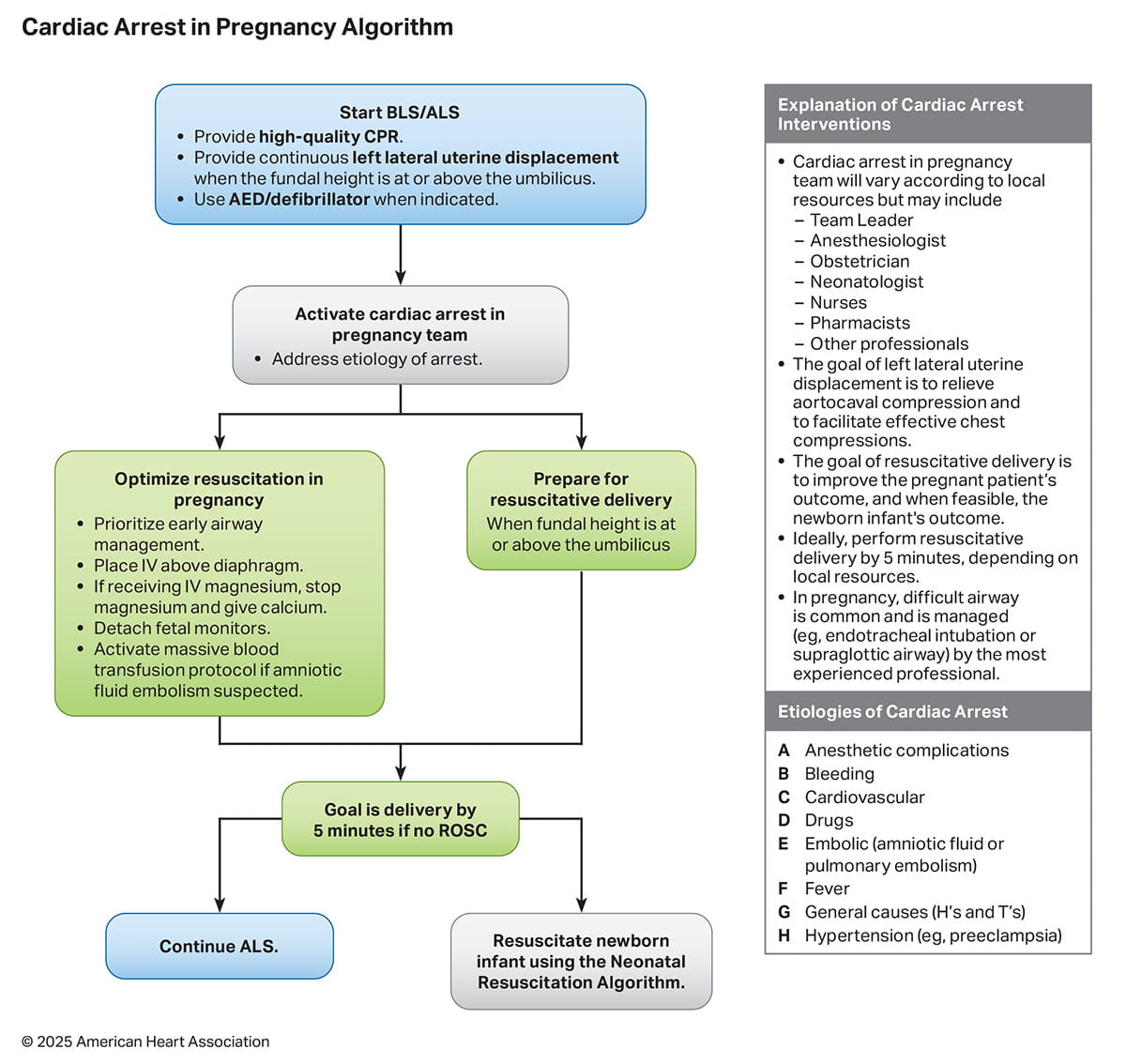 Figure 5 – Cardiac Arrest in Pregnancy