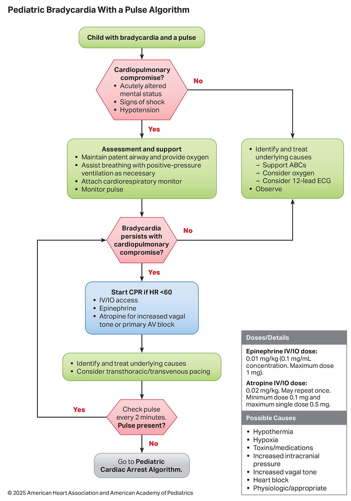 Figure 6. Pediatric Bradycardia With a Pulse Algorithm