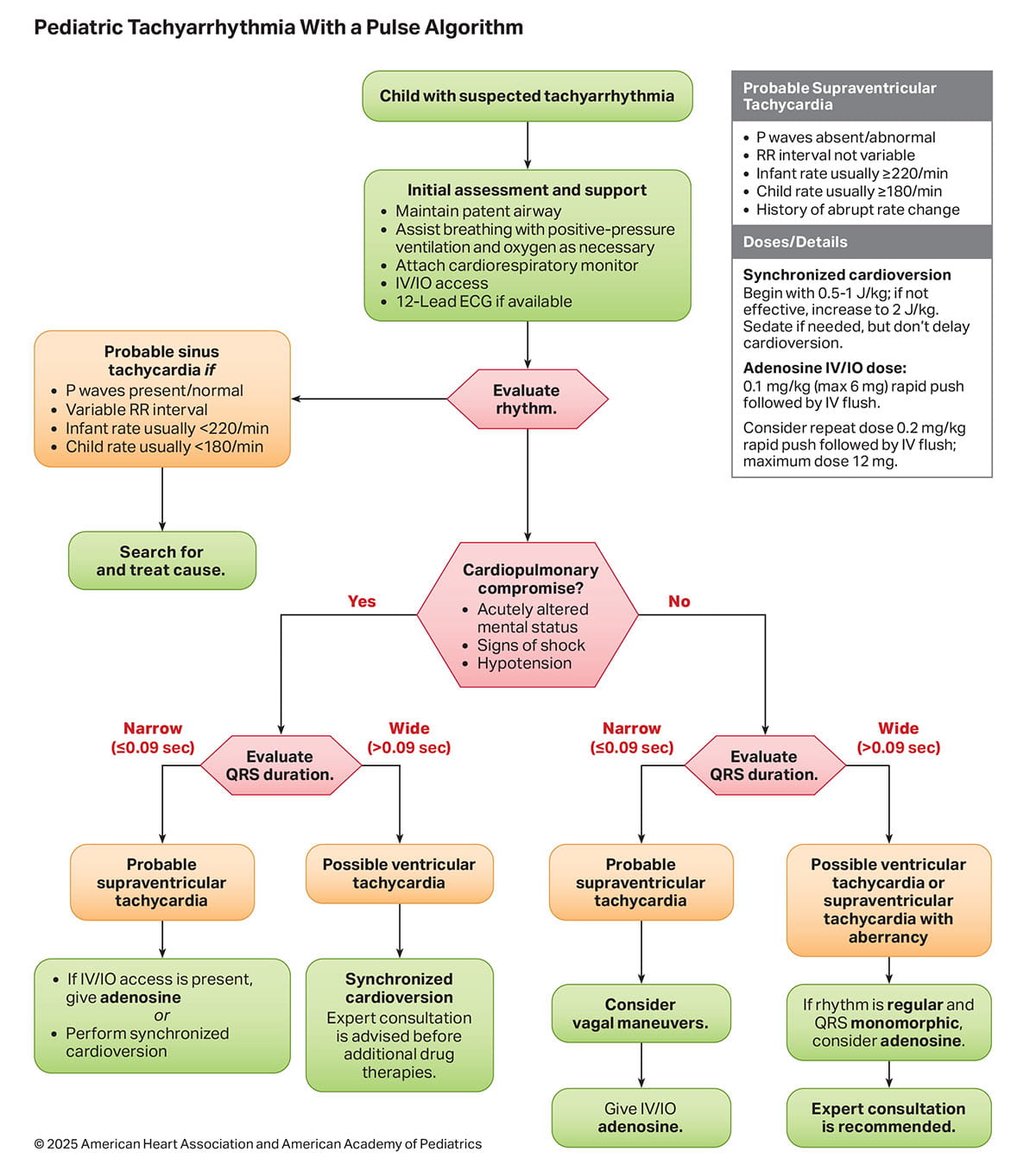 Figure 7. Pediatric Tachyarrhythmia With a Pulse Algorithm