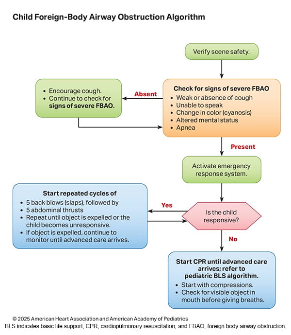 Figure 7. Child FBAO