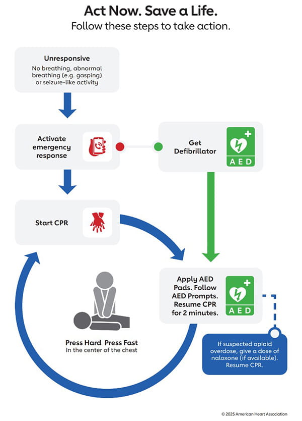 Figure 7 Adult Basic Life Support Lay Rescuer Infographic