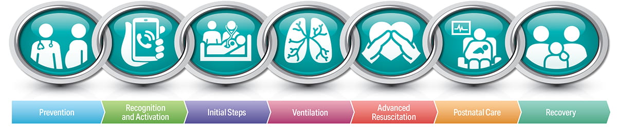 Figure 1 - Newborn Chain of Care