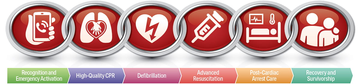 5.1.1. Figure 1 – Cardiac Arrest Chain of Survival