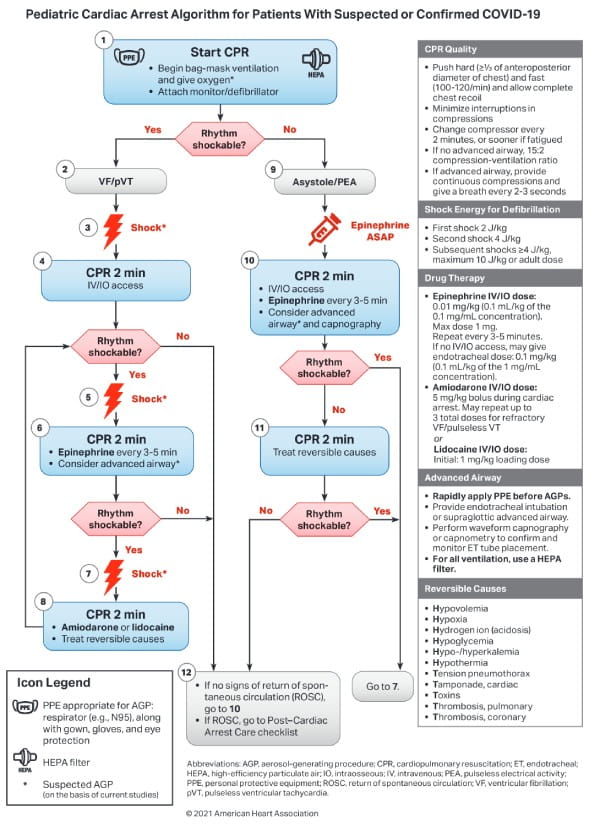 健康・医学 BLS2020 AHA 2020 BLS Provider Manual eBook | AED Superstore - 20-3102