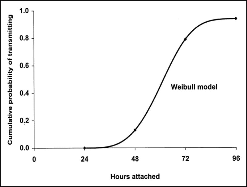 Figure 4. Risk of Lyme disease transmission based on duration of tick attachment.
