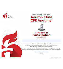 Certificate of Participation 290 image