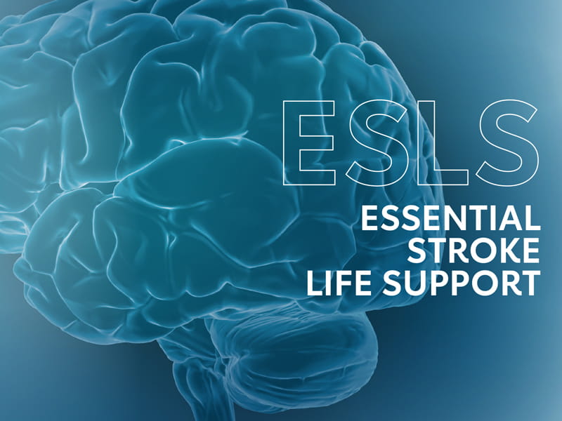 ESLS 800x600 72 dpi min image ESLS 800x600 72 dpi min