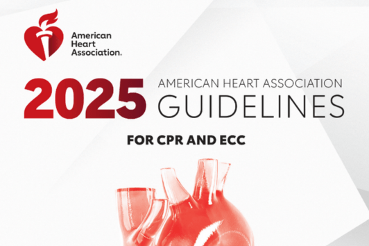 2025_Guidelines_Cover_532x354 (1)