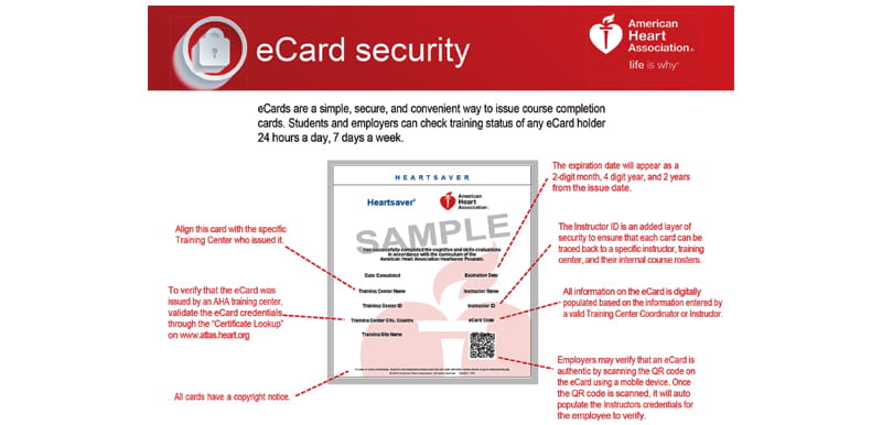 eCard Security graphic