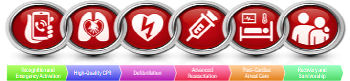 Chain Of Survival Cardiac Arrest 96dpi image